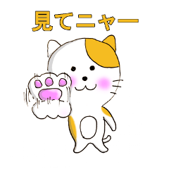 [LINEスタンプ] にゃんこ29Q