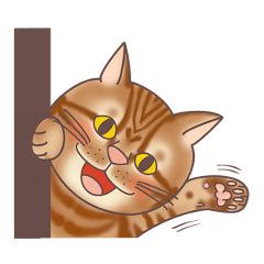 [LINEスタンプ] ニャンにゃライフ (日本語版)