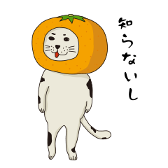 [LINEスタンプ] 猫みかん