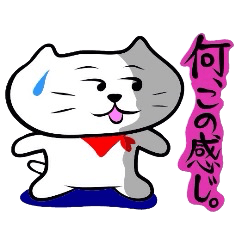 [LINEスタンプ] バンダナをまいたネコ3