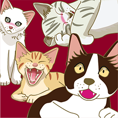 [LINEスタンプ] 猫が好きっ！