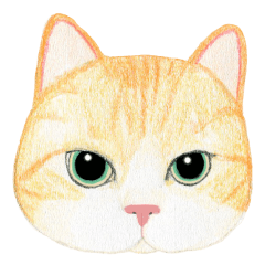 [LINEスタンプ] ねこのひとこと