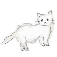 [LINEスタンプ] ふわふわねこ