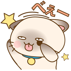 [LINEスタンプ] シャムの子猫スタンプ(メッセージ付き)