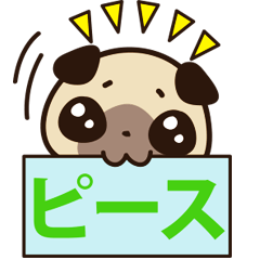 [LINEスタンプ] キュートなパグ犬(メッセージ付き)の画像（メイン）