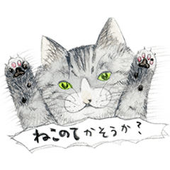 [LINEスタンプ] こじ＆もものねこのてかそうか？の画像（メイン）