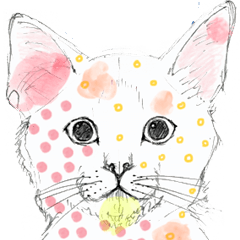 [LINEスタンプ] Colorful Cat in Osakaの画像（メイン）