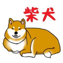 [LINEスタンプ] あなたの柴犬