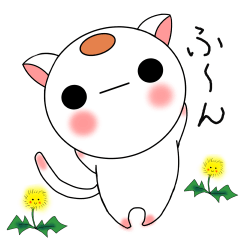 [LINEスタンプ] 丸い猫の画像（メイン）