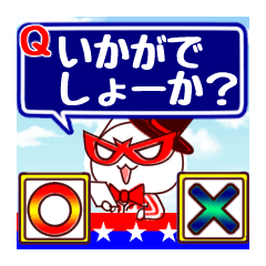 [LINEスタンプ] cat's ○×クイズ