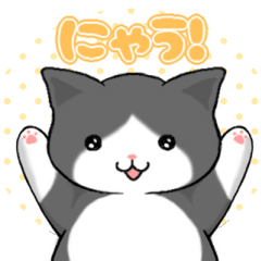 [LINEスタンプ] ネコのゆぅちゃんの画像（メイン）