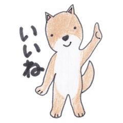 [LINEスタンプ] 柴犬のチョコちゃん