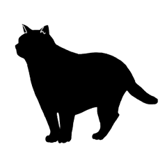 [LINEスタンプ] 黒猫ののんびり風景の画像（メイン）