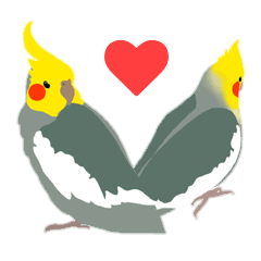 [LINEスタンプ] ほんわかオカメインコの画像（メイン）