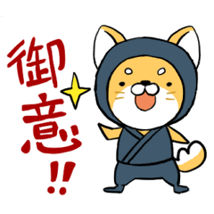 [LINEスタンプ] しばいぬ忍者