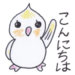 [LINEスタンプ] おしゃべり上手なオカメインコちゃんの画像（メイン）