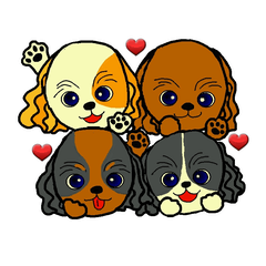 [LINEスタンプ] キャバリアばっかりのスタンプの画像（メイン）