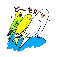 [LINEスタンプ] 鳥バカ日記 佐藤家のセキセイインコ