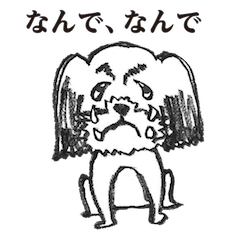 [LINEスタンプ] シーズー犬のいろいろな顔の画像（メイン）