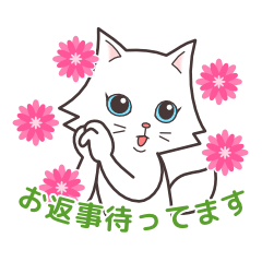 [LINEスタンプ] ペルシャ猫こゆき(日常会話)の画像（メイン）