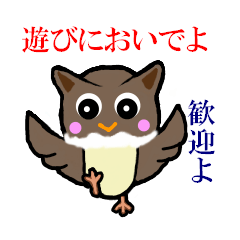 [LINEスタンプ] フクロウと遊ぼう