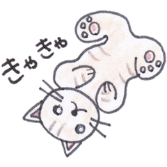 [LINEスタンプ] ねこのチャトラちゃん