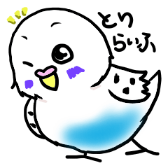 [LINEスタンプ] インコライフの画像（メイン）