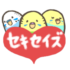 [LINEスタンプ] うちのとりの画像（メイン）