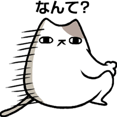 [LINEスタンプ] 猫びより