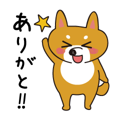 [LINEスタンプ] たぬきいぬ