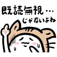 [LINEスタンプ] ひょっこり顔だけスタンプ 猫とウサギの画像（メイン）