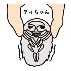 [LINEスタンプ] ダイオウグソクムシのダイちゃん