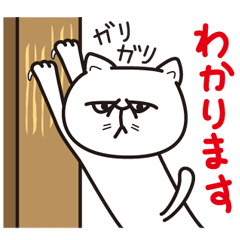 [LINEスタンプ] ねこなんですの画像（メイン）