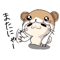 [LINEスタンプ] 着ぐるみを着たニャンコの画像（メイン）