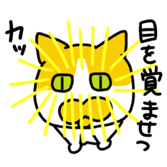 [LINEスタンプ] マプねこの画像（メイン）