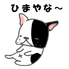 [LINEスタンプ] フレンチブルドッグ2 大阪弁パイド柄