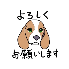 [LINEスタンプ] 萌え犬の画像（メイン）