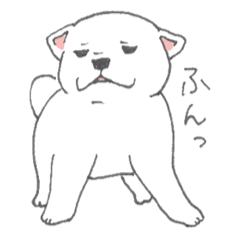 [LINEスタンプ] しろ柴犬の子犬