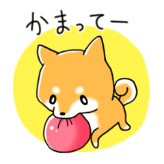 [LINEスタンプ] うちのしばの画像（メイン）