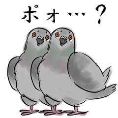 [LINEスタンプ] リアル鳩の画像（メイン）