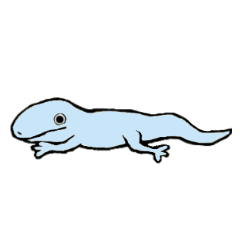 [LINEスタンプ] とかげがすきの画像（メイン）