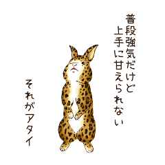 [LINEスタンプ] ヒョウ柄うさぎの画像（メイン）