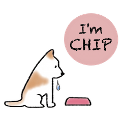 [LINEスタンプ] CHIPさん。の画像（メイン）