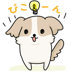 [LINEスタンプ] シーズーコタロウくんの毎日の画像（メイン）