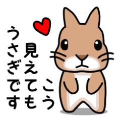 [LINEスタンプ] ぼくはうさぎのモコたんですの画像（メイン）