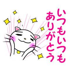 [LINEスタンプ] 毎日ねこスタンプグループトークの画像（メイン）