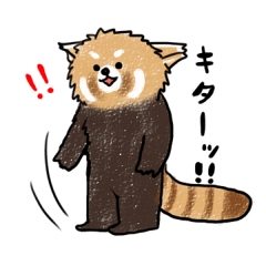 [LINEスタンプ] レッサーパンダのれさぱん君の画像（メイン）