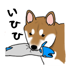 [LINEスタンプ] 柴犬クマと愉快な仲間達