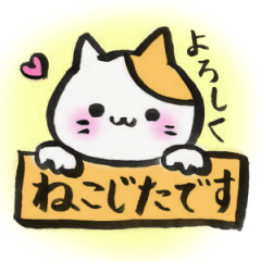 [LINEスタンプ] 自称猫年生まれの人のためのスタンプの画像（メイン）