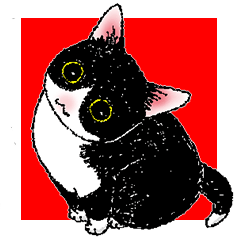 [LINEスタンプ] 白黒こねこずの画像（メイン）